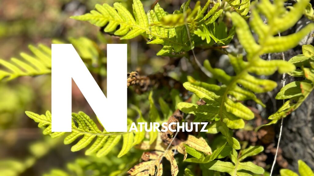 BUGA-Alphabet N wie Naturschutz