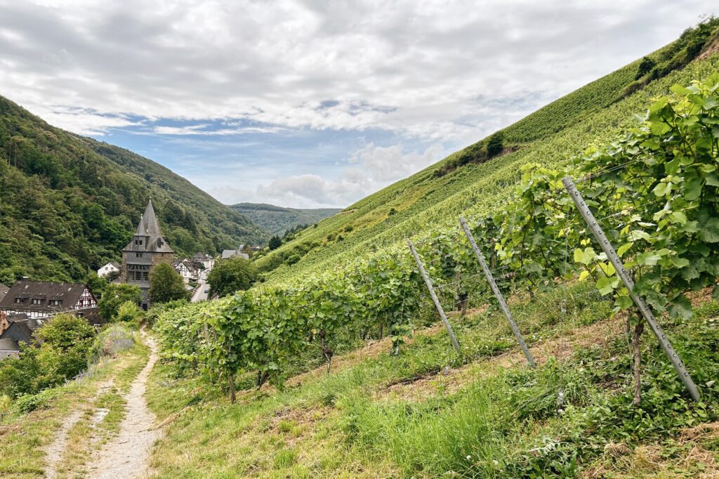 Bacharacher Weinberge