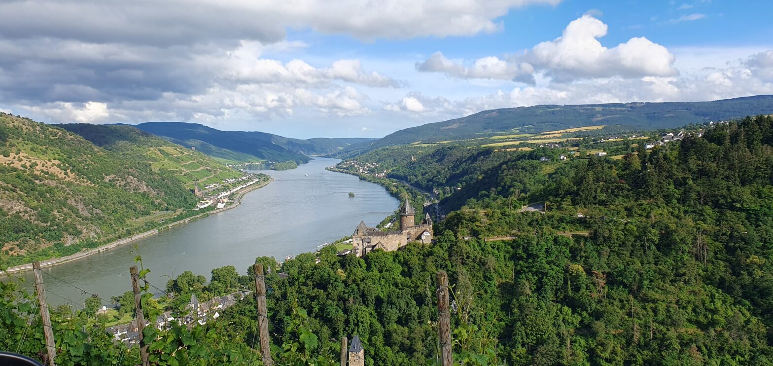 Der Rhein als Rechtsperson