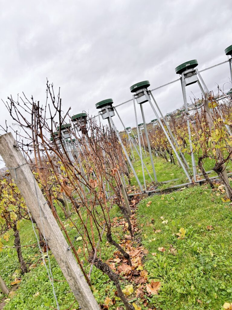 FACE-Anlage der Uni Geisenheim