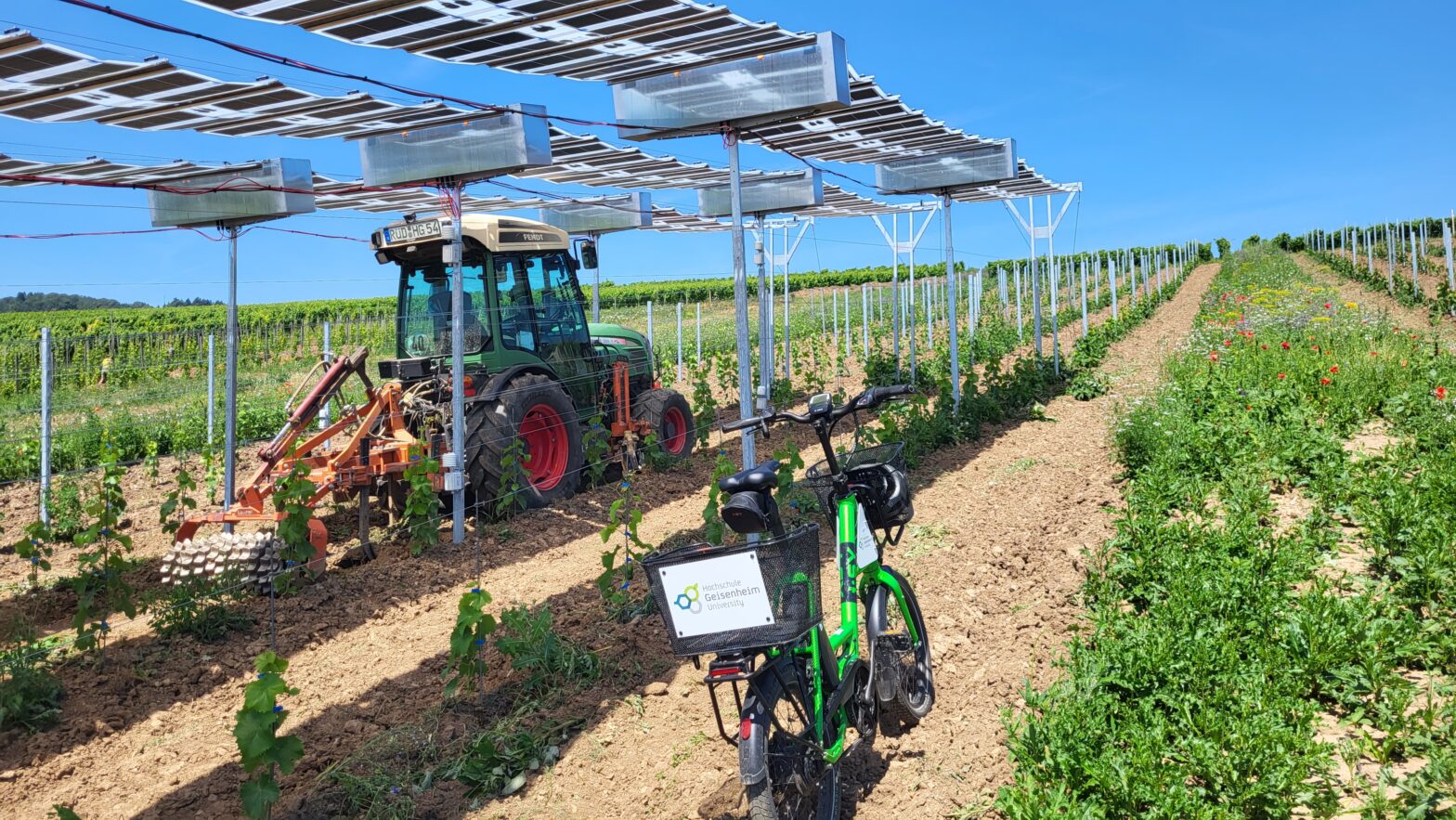 Photovoltaik-Anlage Uni Geisenheim